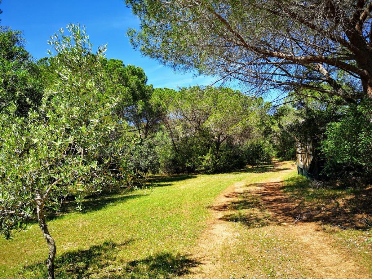 Hotel Cala Mirto Budoni Esterno foto